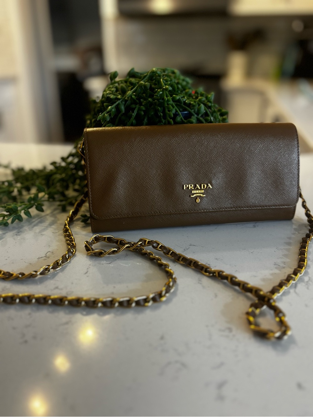 Prada Wallet on chain